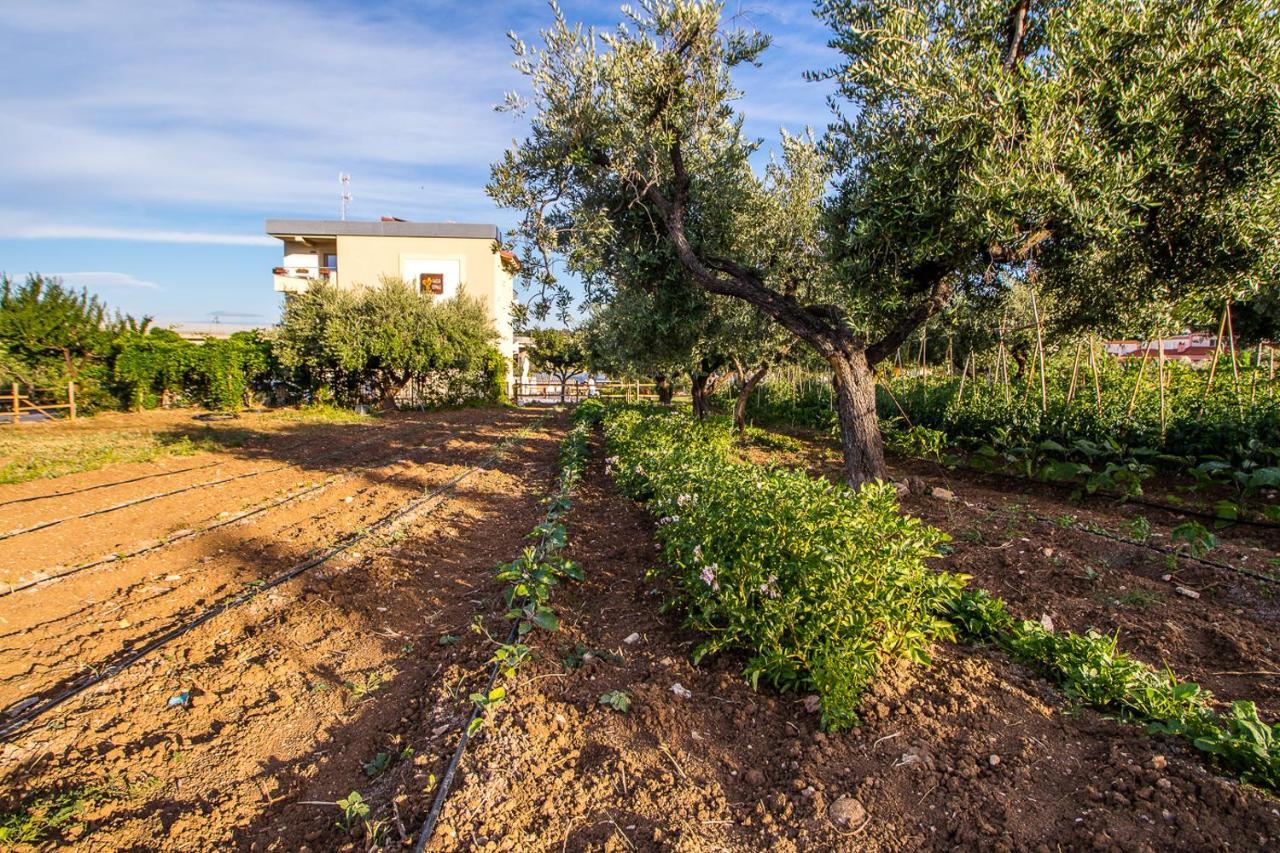 Il Gallo Con Gli Stivali Termoli Eksteriør billede