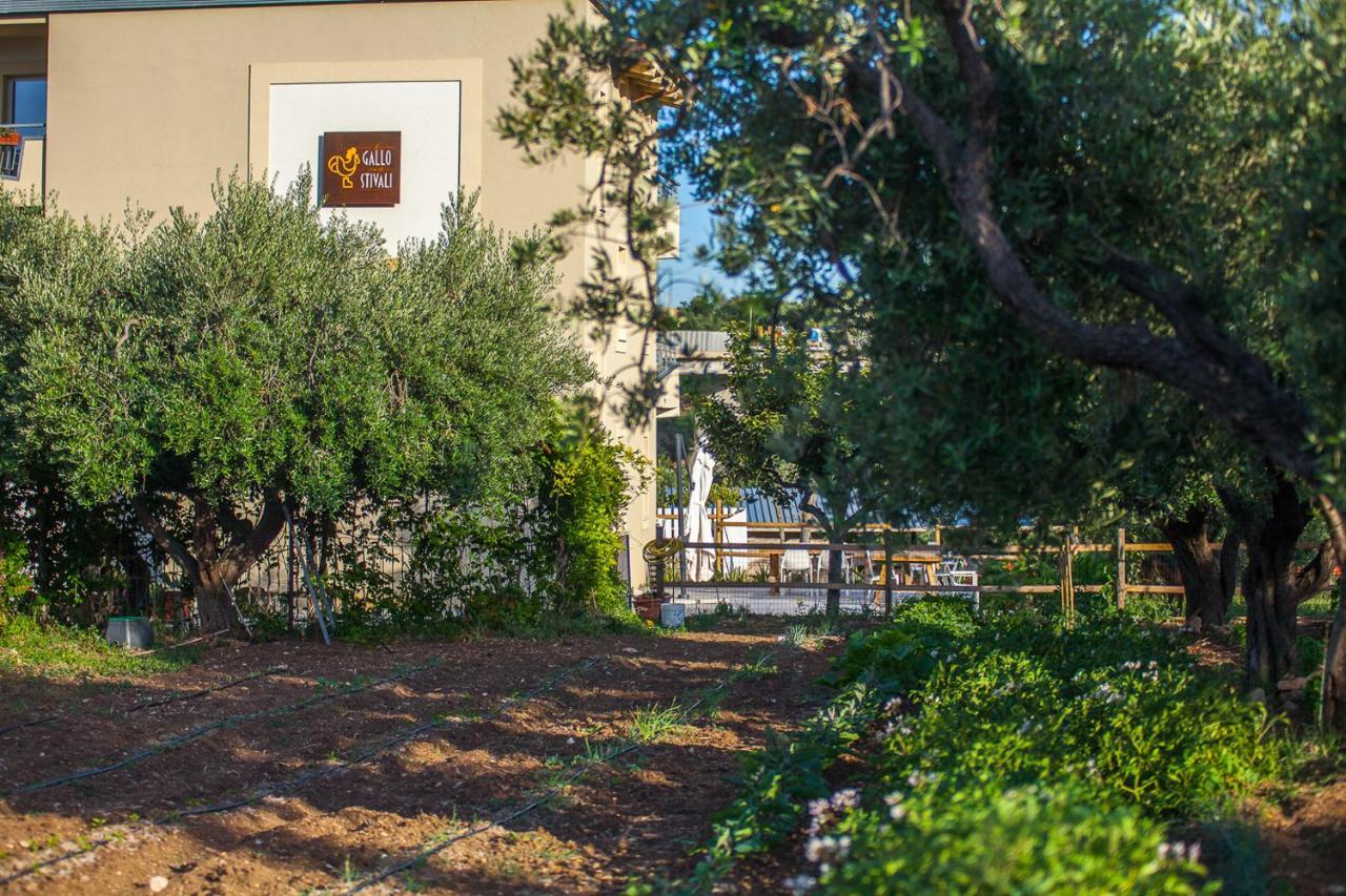 Il Gallo Con Gli Stivali Termoli Eksteriør billede